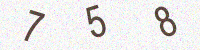 Captcha code