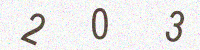 Captcha code