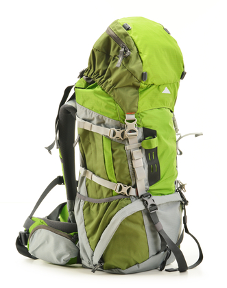 Gekko Backpack Groen - afb. 1